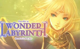 Record of Lodoss War Deedlit in Wonder Labyrinth